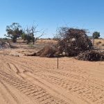 qm_image-20241002-080340