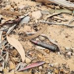 WhatsApp-Image-2025-07-30-at-12.26.06_7abc8483-150x150 المركز الليبي يواصل تطهير المناطق الملوثة في طرابلس بعد الاشتباكات الأخيرة