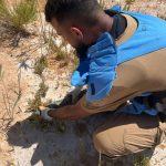 01-150x150 فرق الإزالة الفورية تتعامل مع أكثر من 3700 قطعة متفجرة في إطار الاستجابة الطارئة