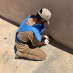 11-150x150 فرق الإزالة الفورية تتعامل مع أكثر من 3700 قطعة متفجرة في إطار الاستجابة الطارئة